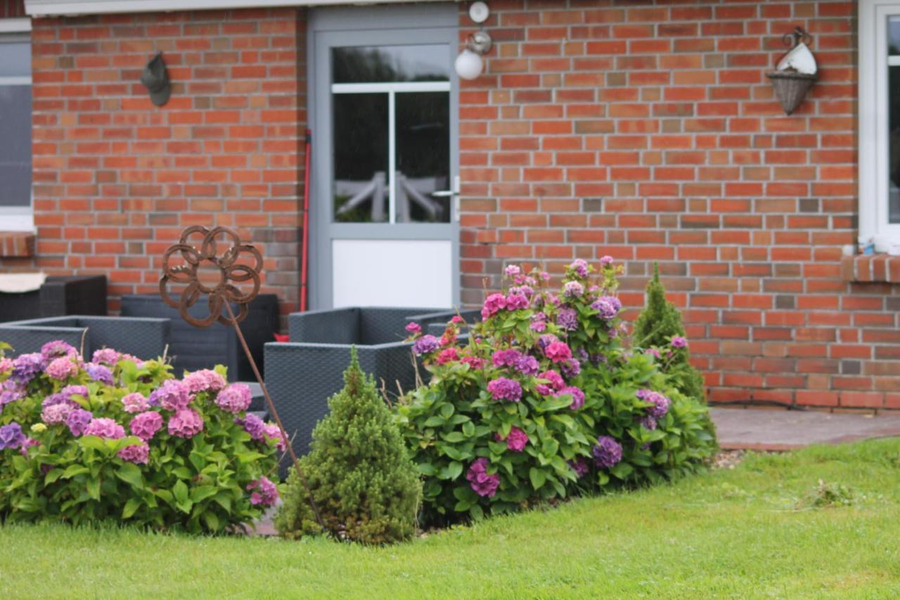 Balzwiekje Auszeit Auf Pferdehof In Ostfriesland Ihlow  Ngoại thất bức ảnh